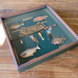 Pretty Fishing Themed Decorative Shadow Box